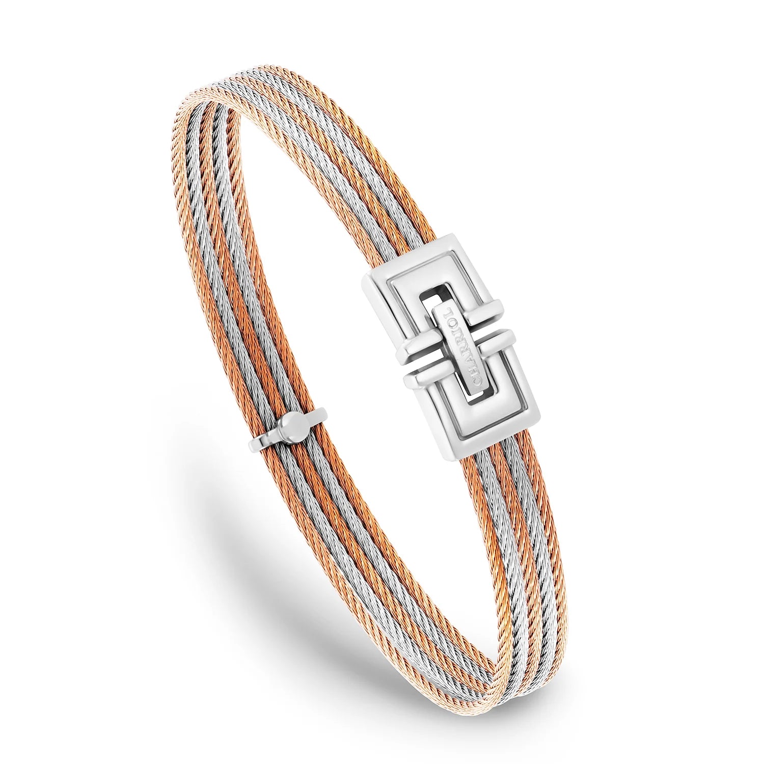 rosas ginto & Steel_Steel