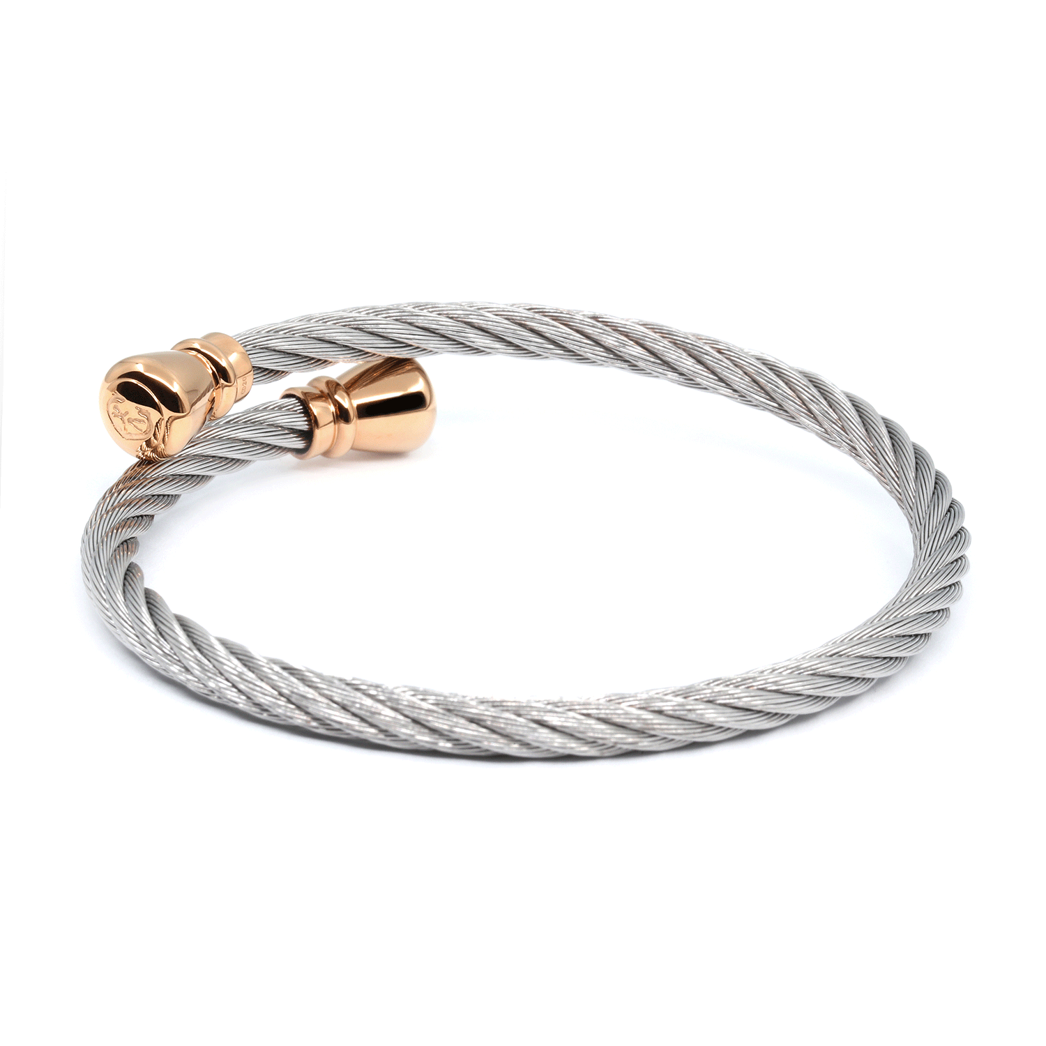 Steel_Rose ginto