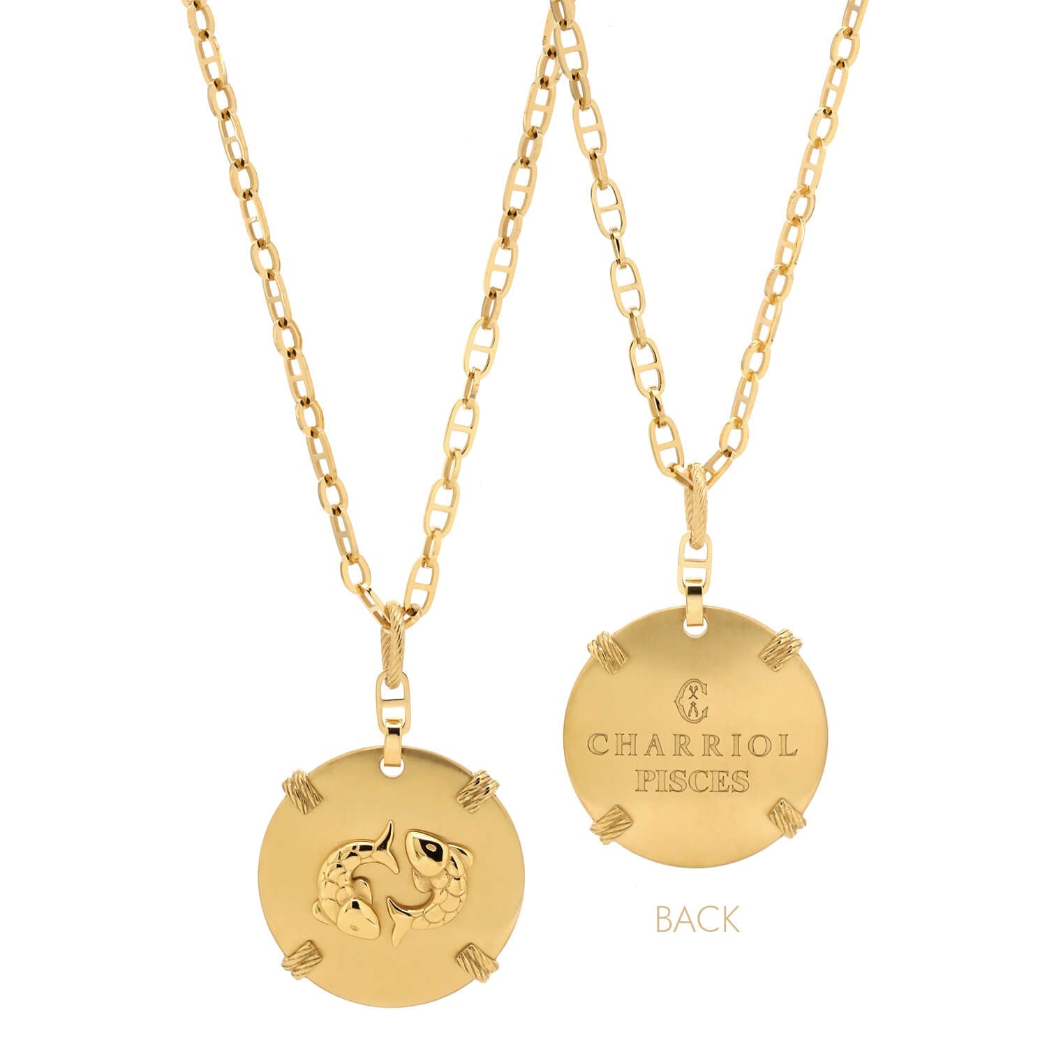 Dilaw na Gold_Gold Pisces_60cm hanggang 70cm