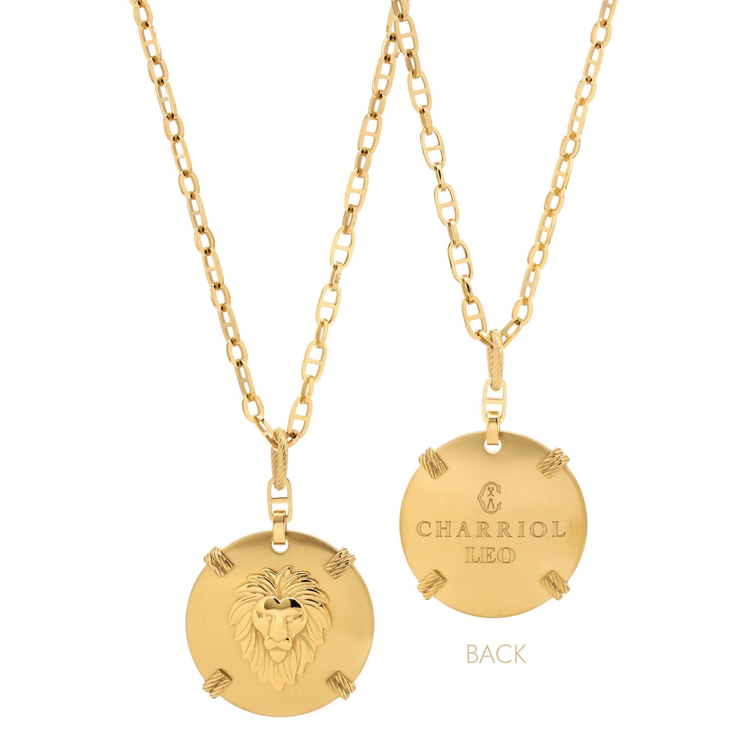 Dilaw na Gold_Gold Leo_60cm hanggang 70cm