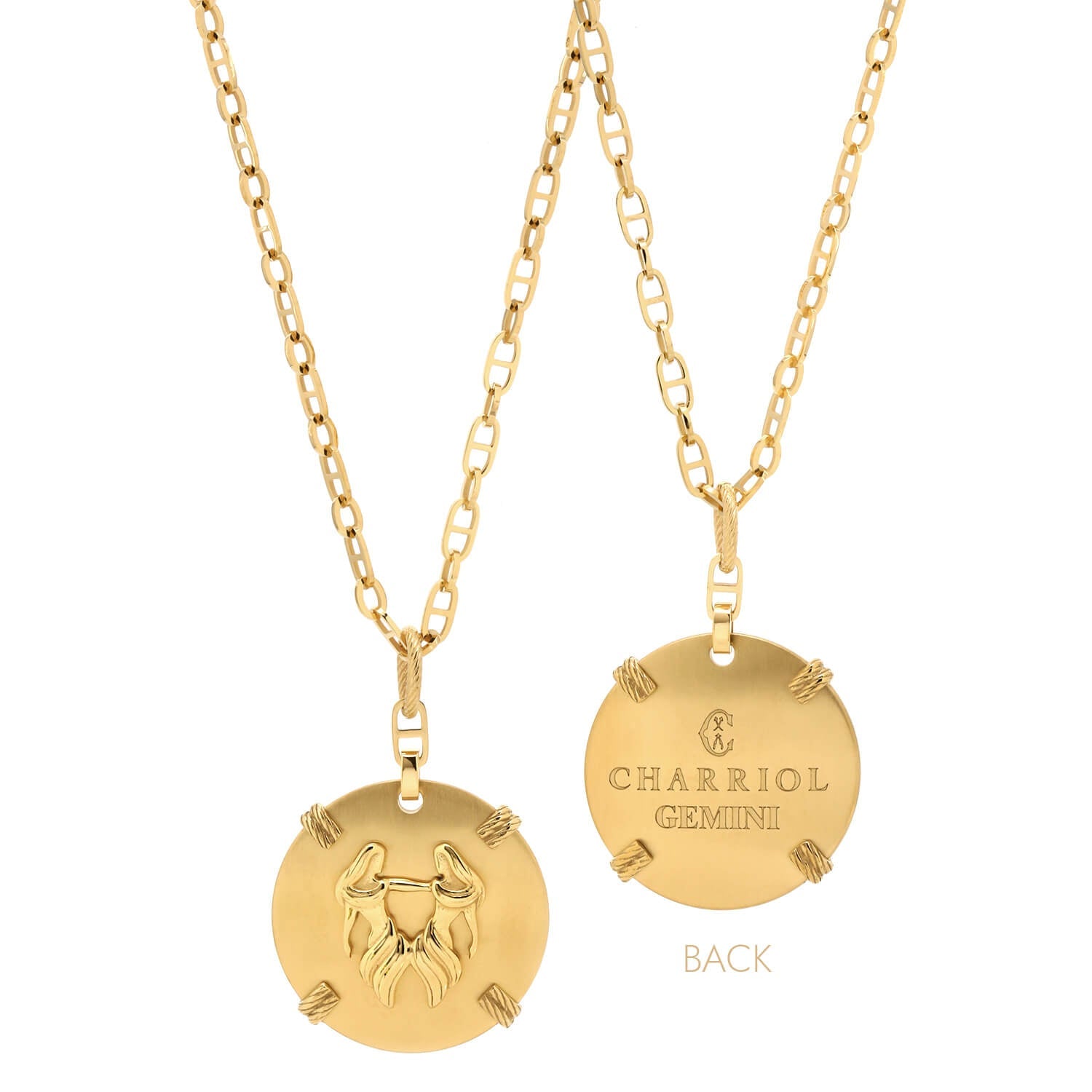 Dilaw na Gold_Gold Gemini_60cm hanggang 70cm