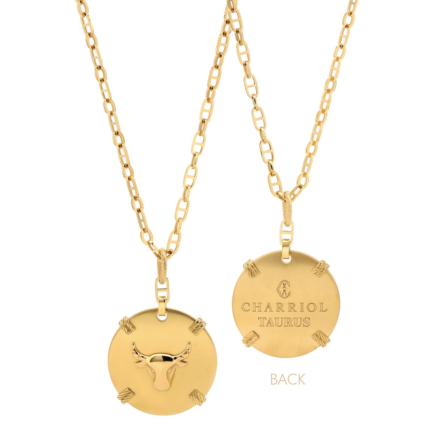 Dilaw na Gold_Gold Taurus_60cm hanggang 70cm