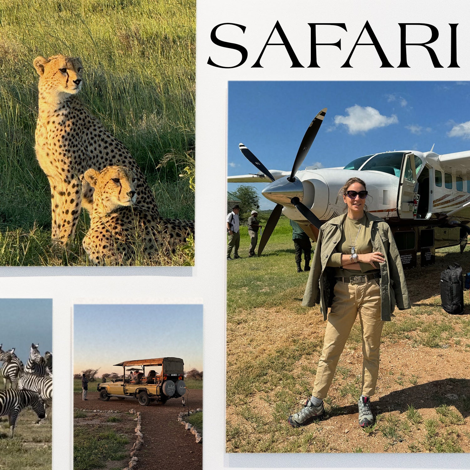 SAFARI