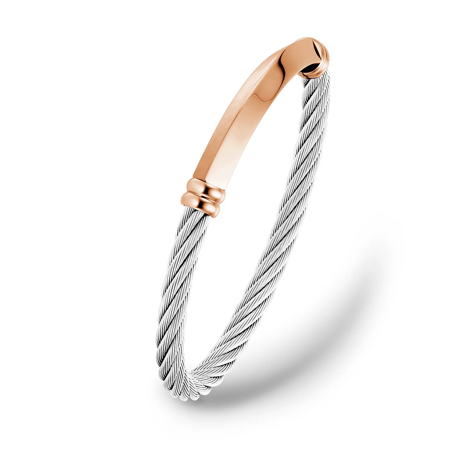 Steel_Rose ginto