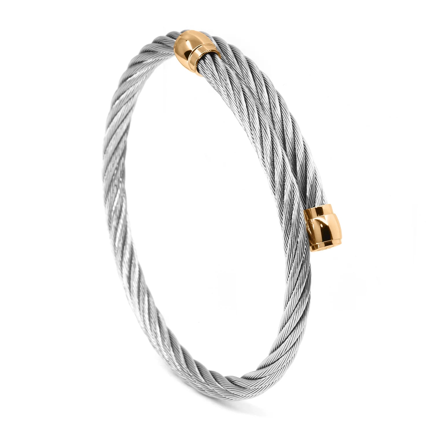 Steel_Rose ginto