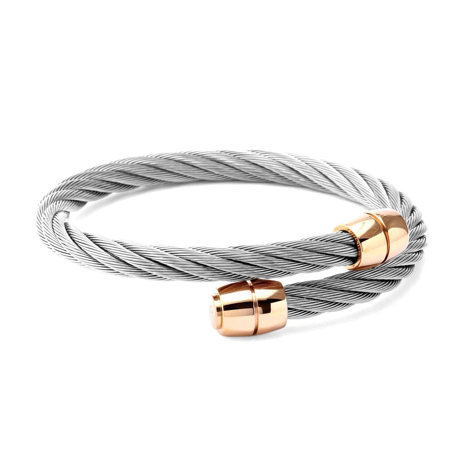 Steel_Rose ginto
