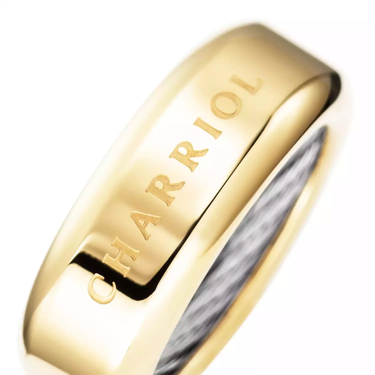 Steel_Yellow ginto