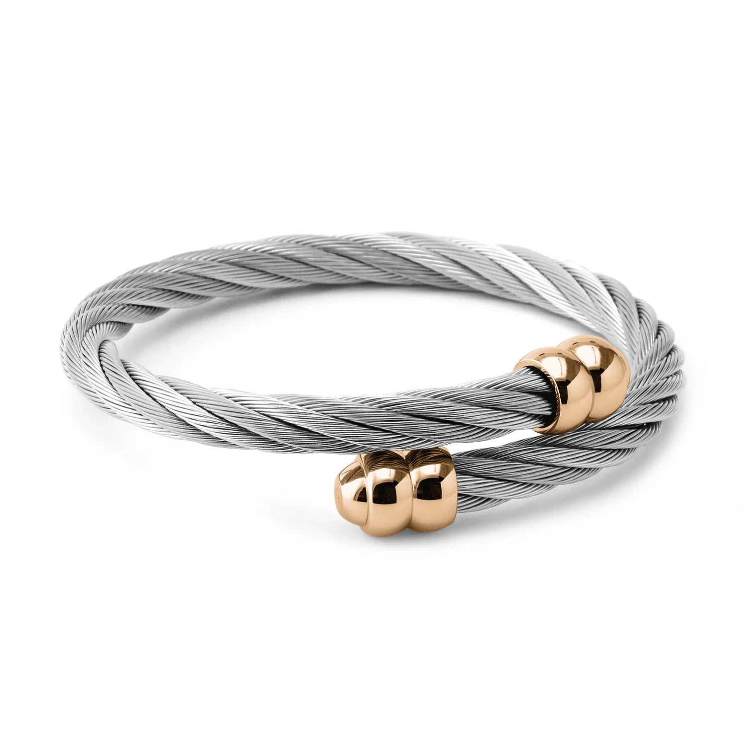 Steel_Rose ginto