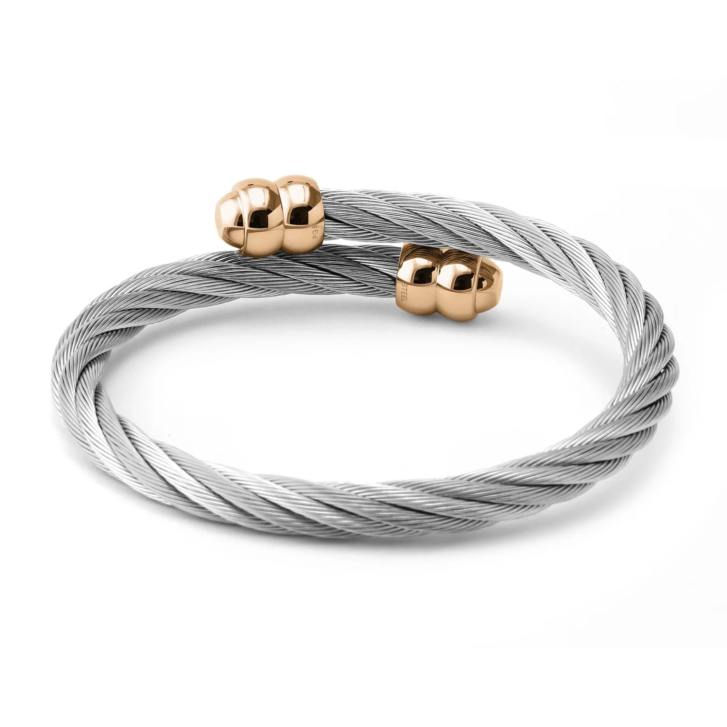 Steel_Rose ginto