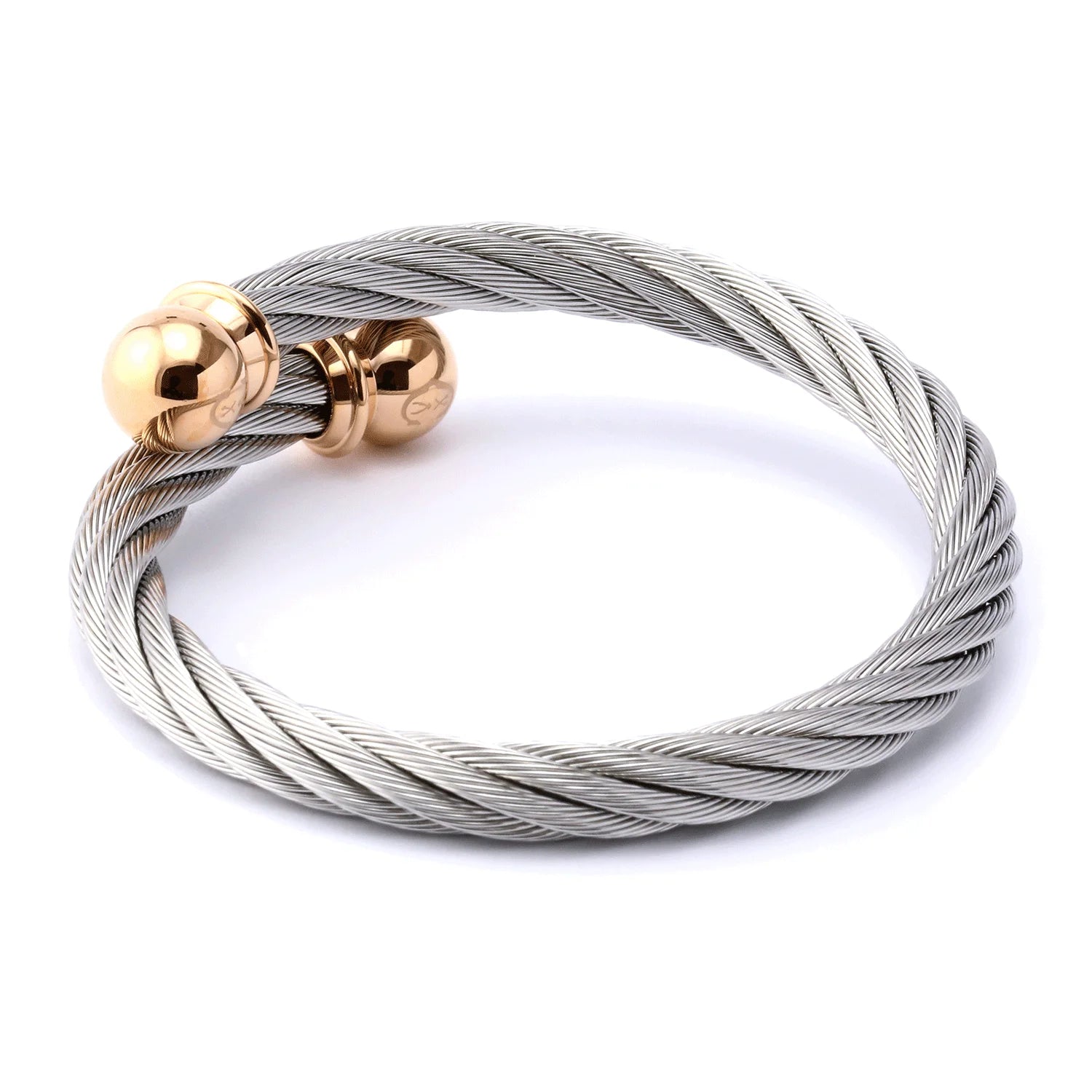 Steel_Rose ginto