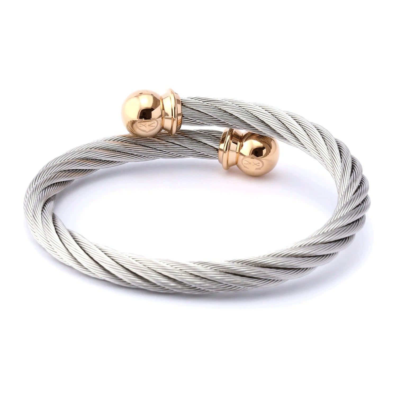 Steel_Rose ginto