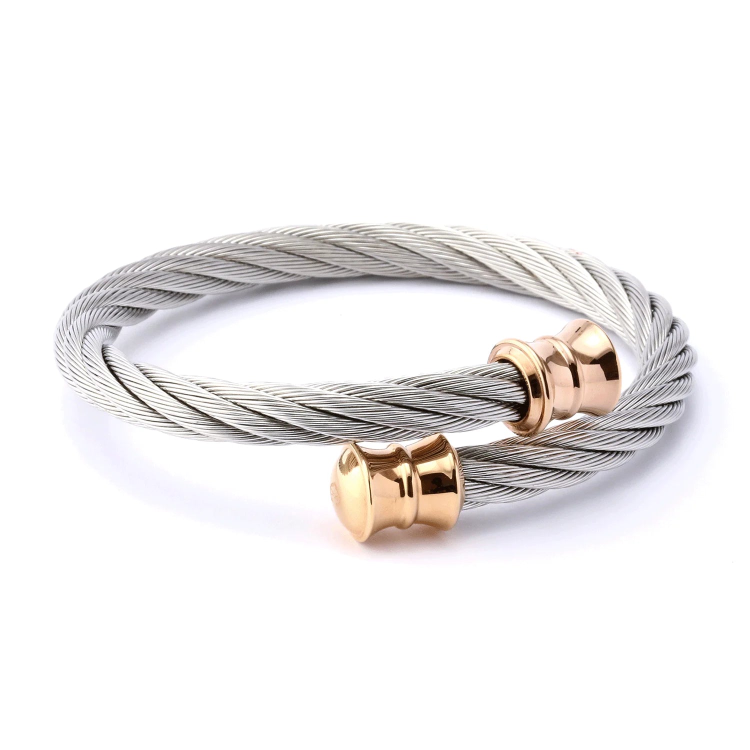Steel_Rose ginto