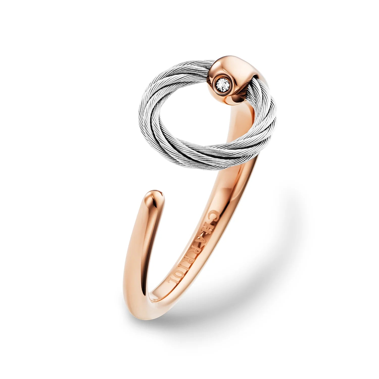 Steel_Rose ginto
