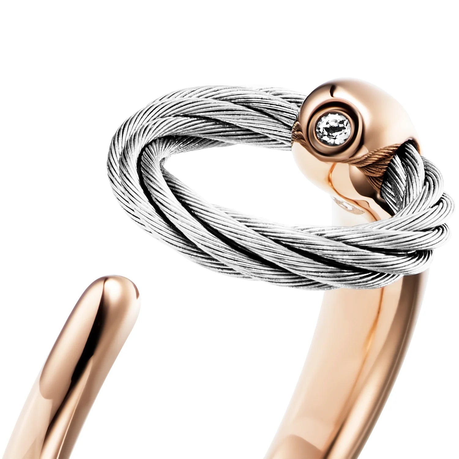 Steel_Rose ginto