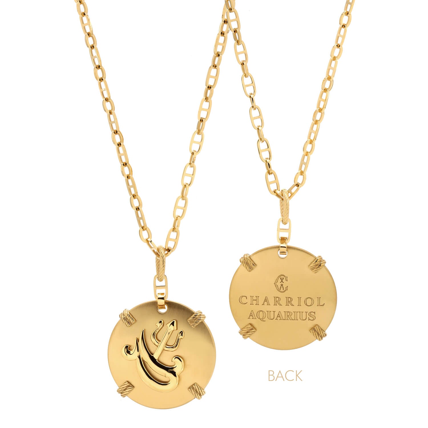 Dilaw na Gold_Gold Aquarius_60cm hanggang 70cm