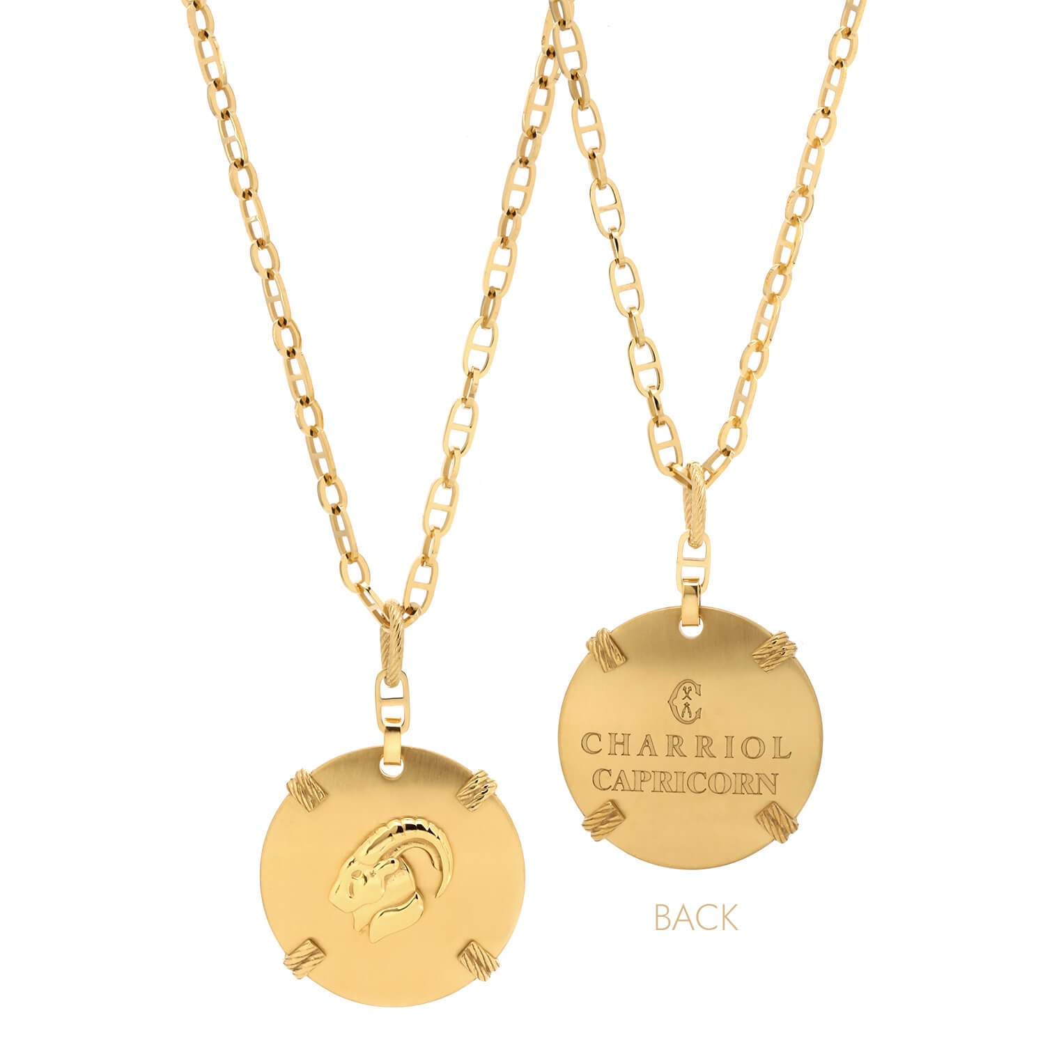 Dilaw na Gold_Gold Capricorn_60cm hanggang 70cm