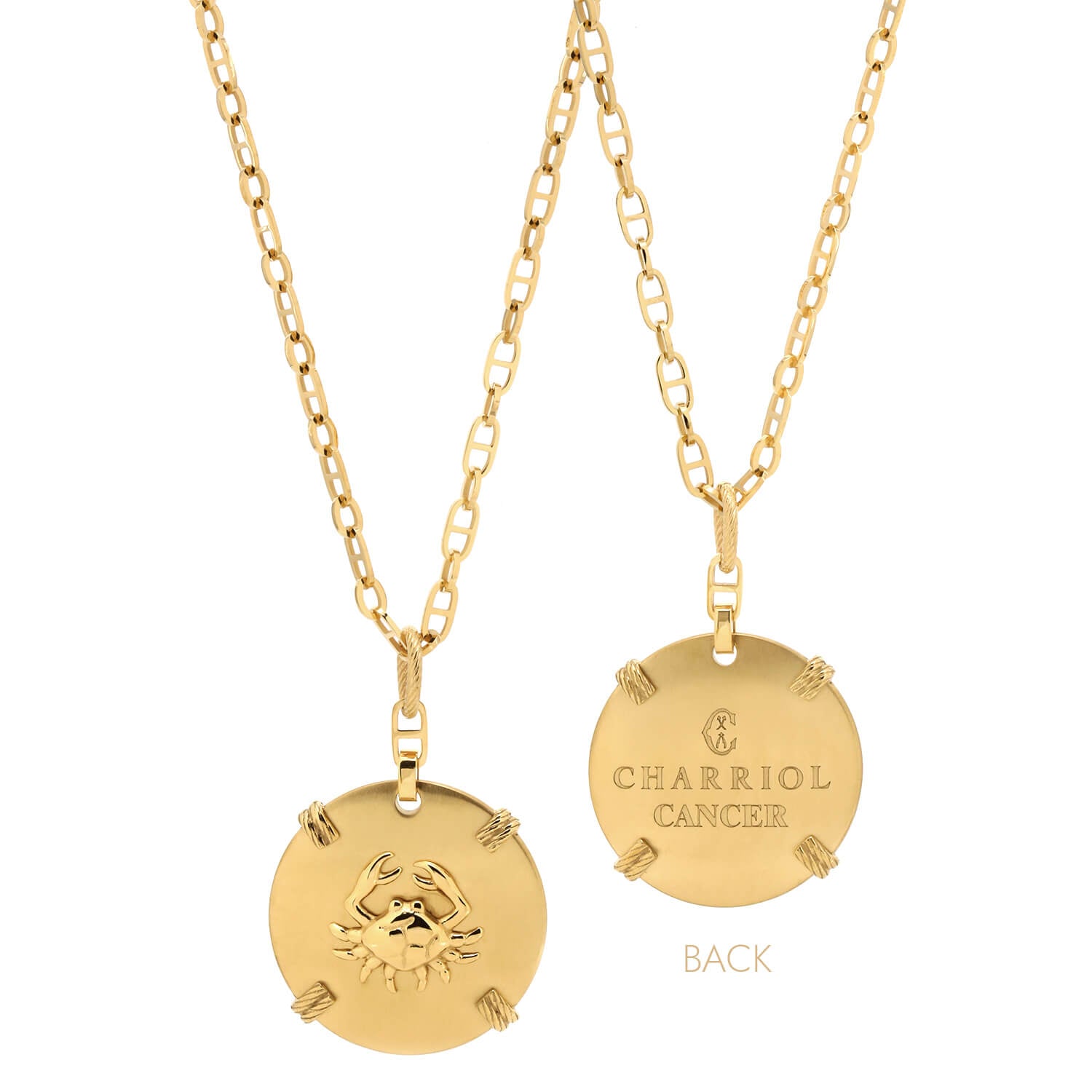 Dilaw na Gold_Gold Cancer_60cm hanggang 70cm