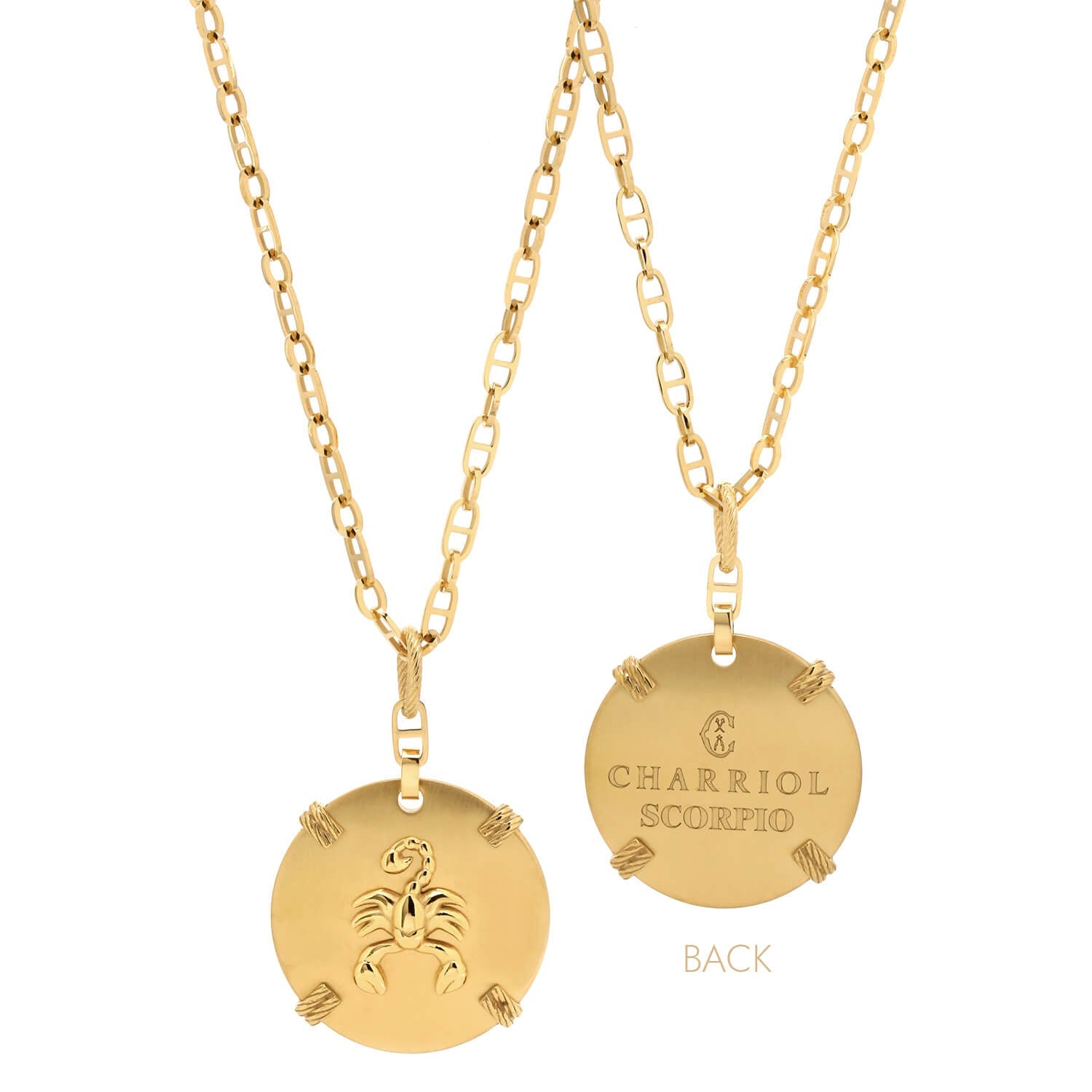 Dilaw na Gold_Gold Scorpio_60cm hanggang 70cm 