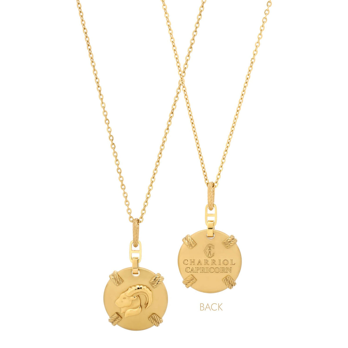 Dilaw na Gold_Gold Capricorn_45cm hanggang 55cm